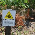 Palomar_0035 (September 10, 2011)